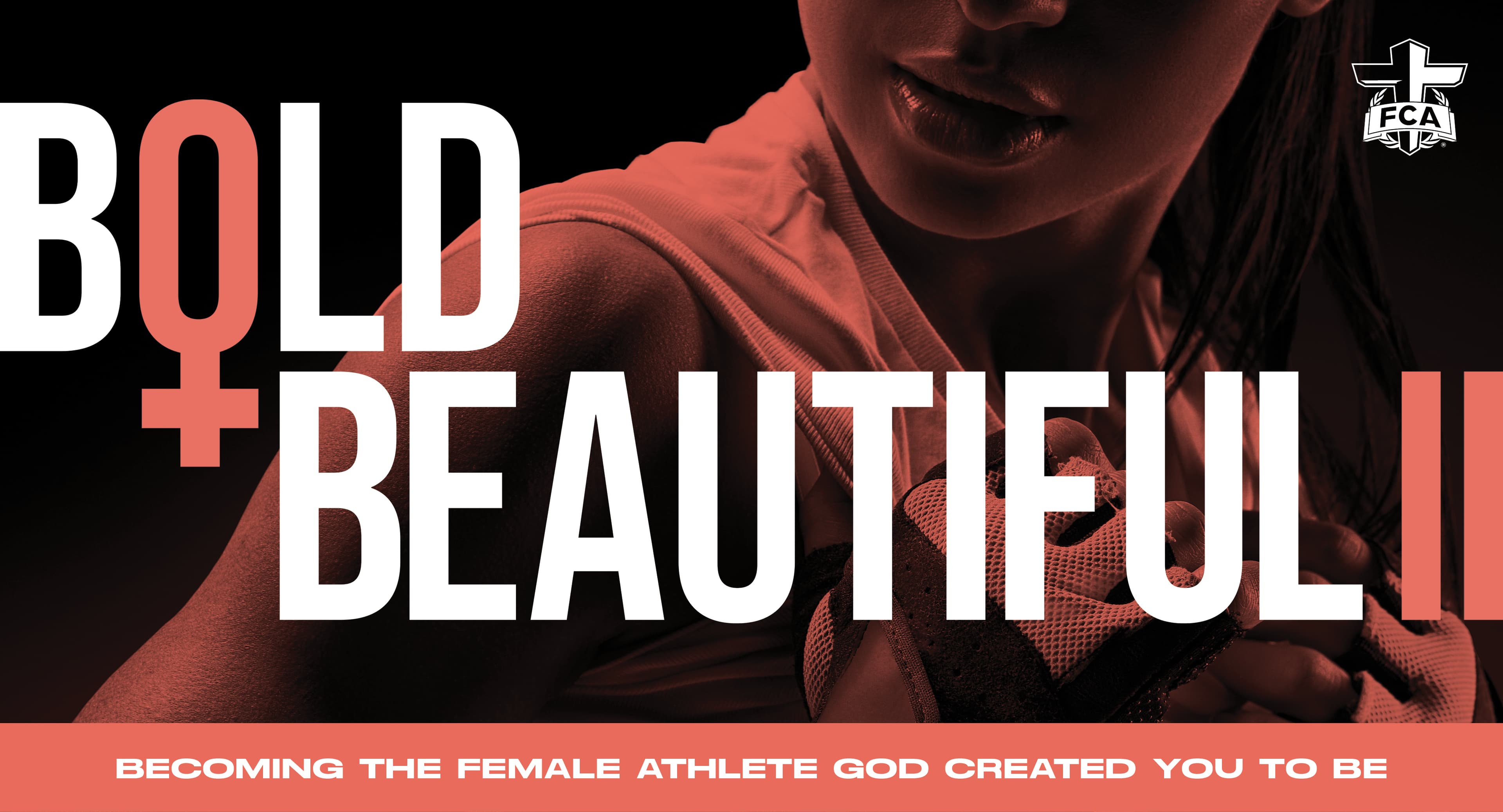 Bold & Beautiful II